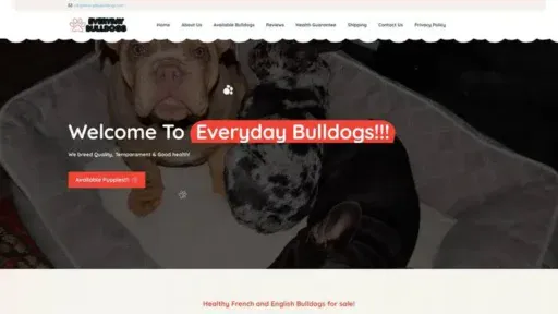 Screenshot of
