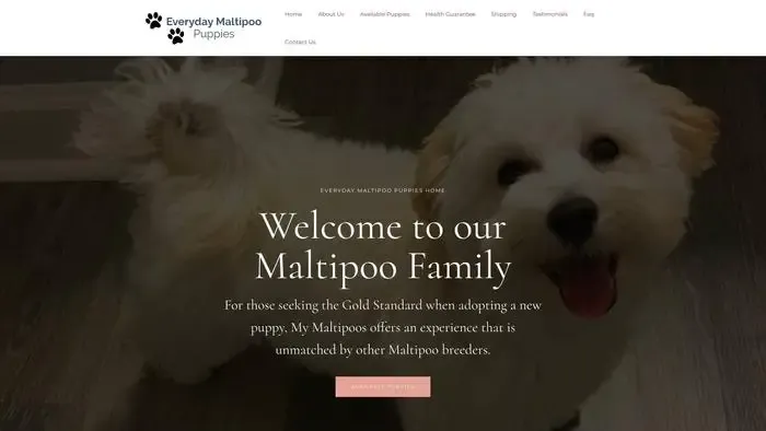 Screenshot of