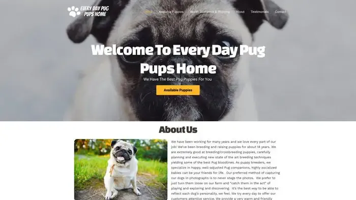 Screenshot of