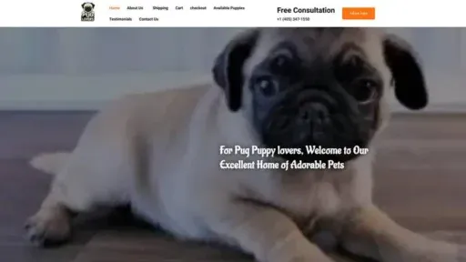 Screenshot of