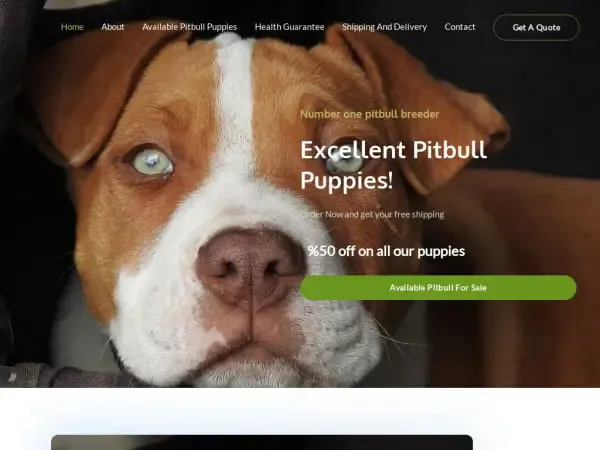Screenshot of