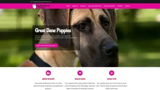 Screenshot of