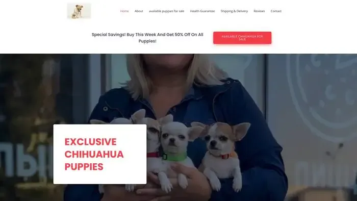 Screenshot of