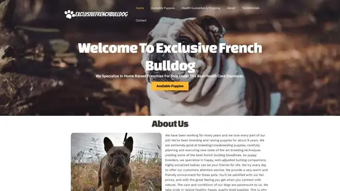Screenshot of
