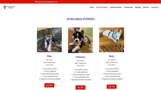 Screenshot of