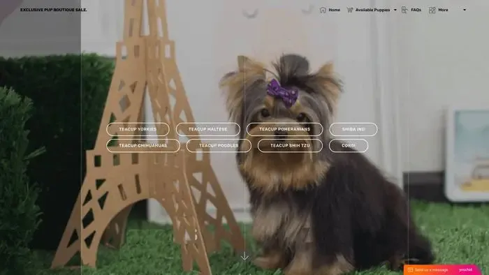Screenshot of