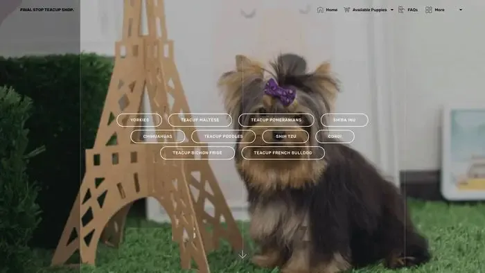 Screenshot of