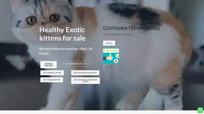 Exockittens