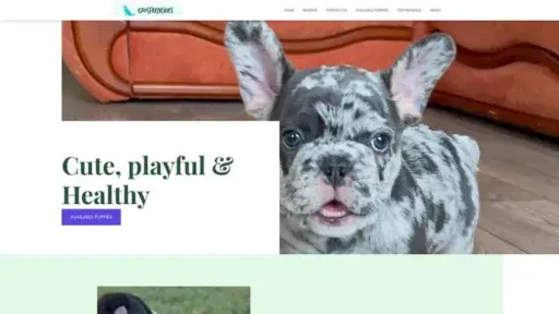 Screenshot of