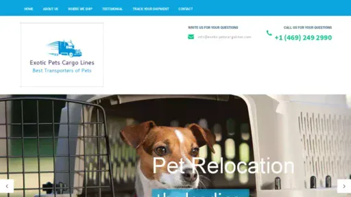 Screenshot of|