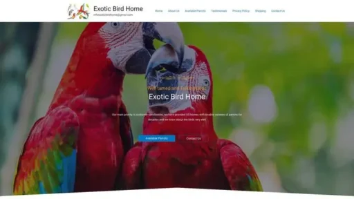 Screenshot of