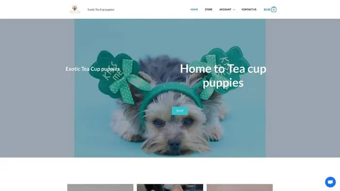 Screenshot of