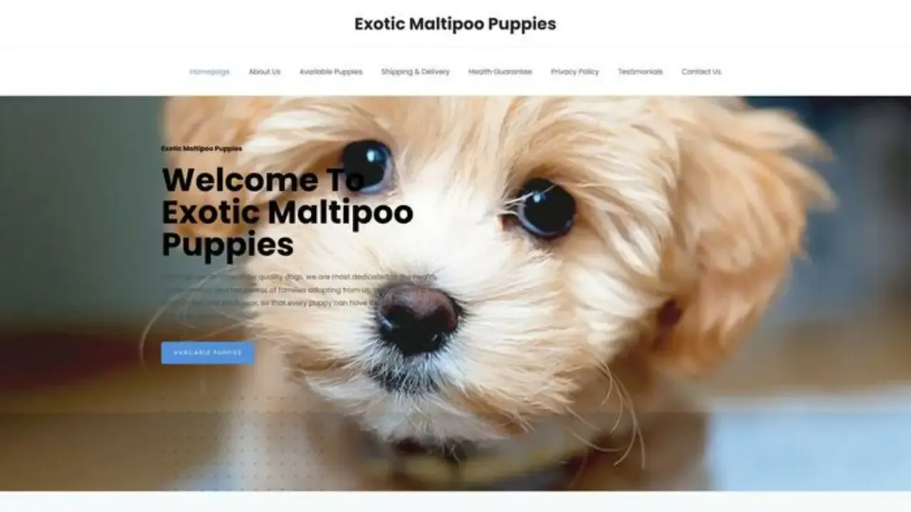 Exoticmaltipoopups