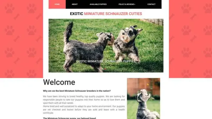 Screenshot of