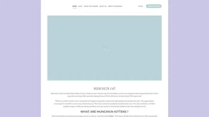Screenshot of