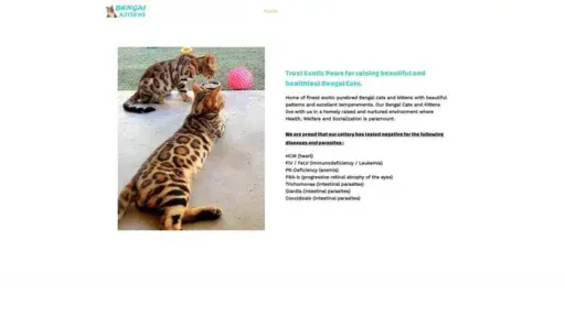 Screenshot of