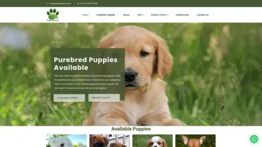 Screenshot of