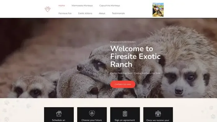 Screenshot of