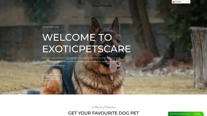 Screenshot of