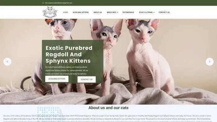Screenshot of