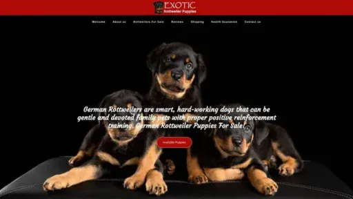 Screenshot of