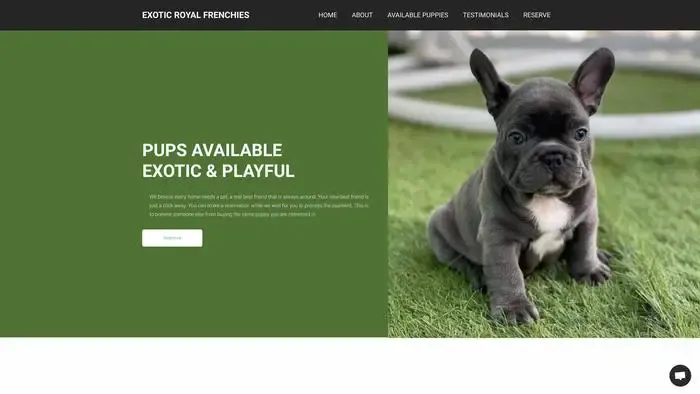 Screenshot of