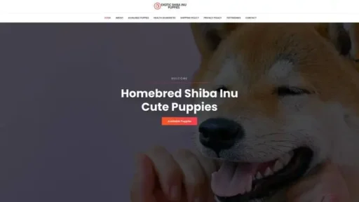 Screenshot of