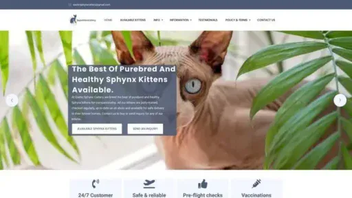 Screenshot of