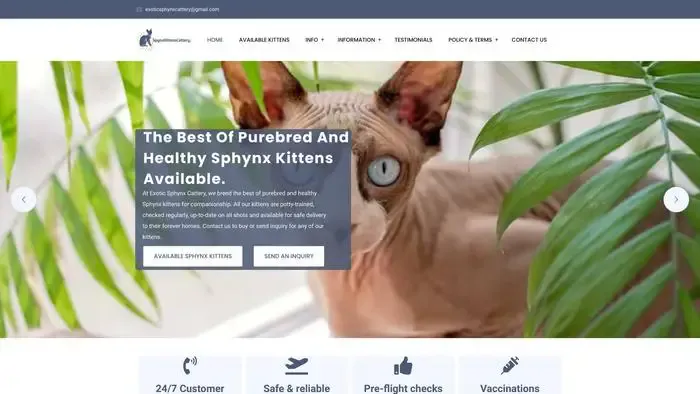 Screenshot of