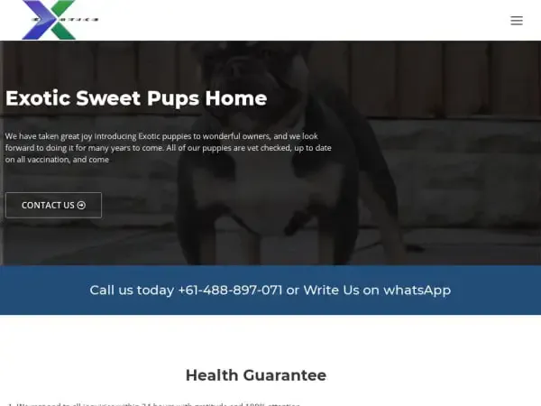 Screenshot of