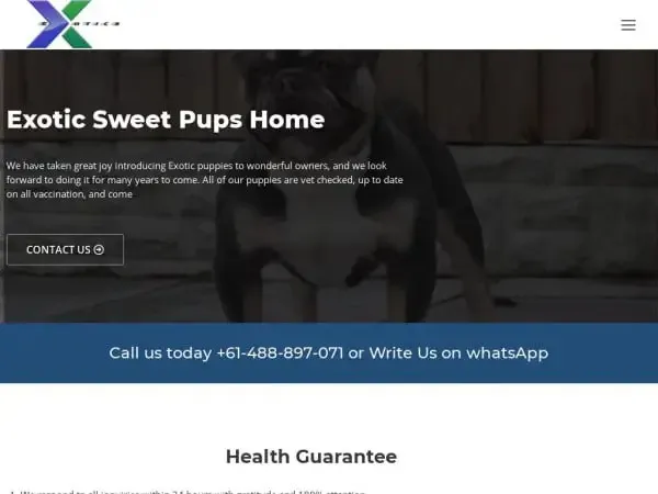 Exoticsweetpupshome
