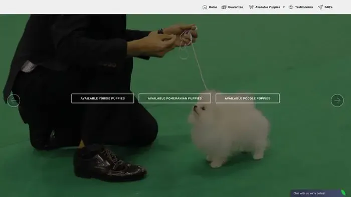 Screenshot of