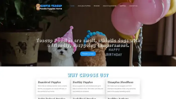 Screenshot of