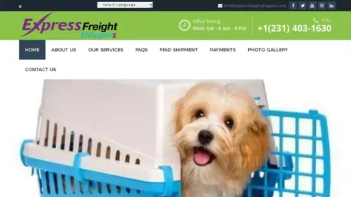 Screenshot of|