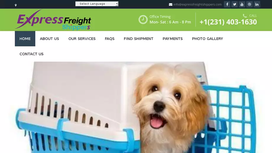 Screenshot of|