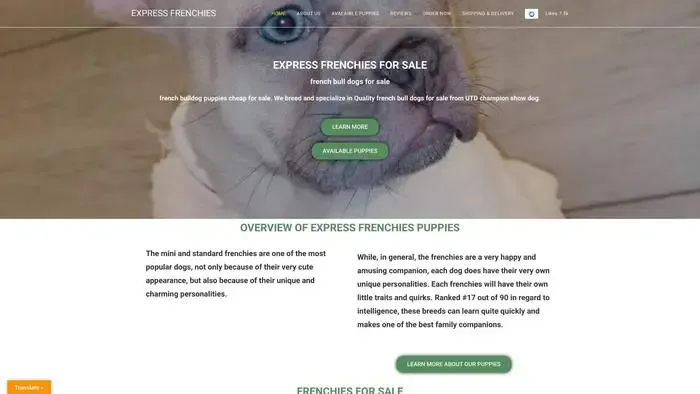 Screenshot of