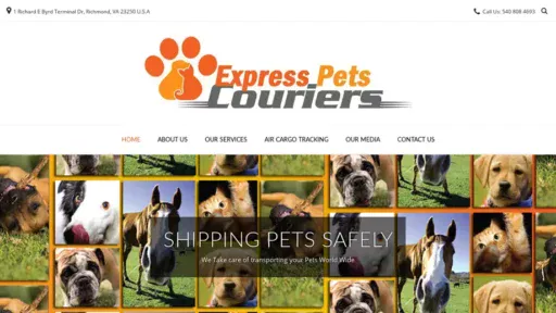 Screenshot of|