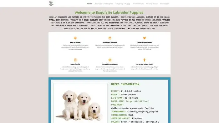 Screenshot of
