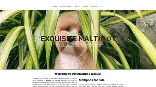 Screenshot of