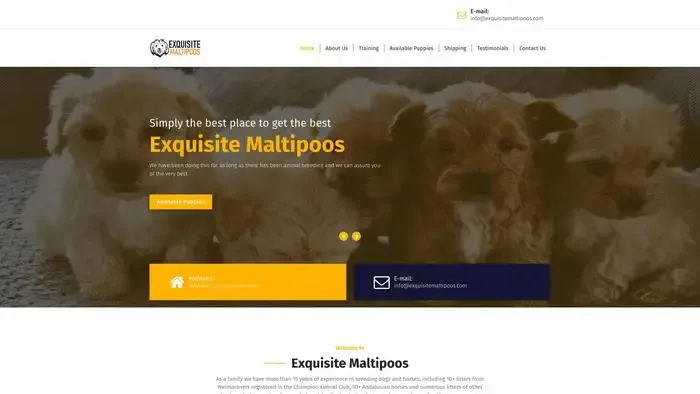 Screenshot of
