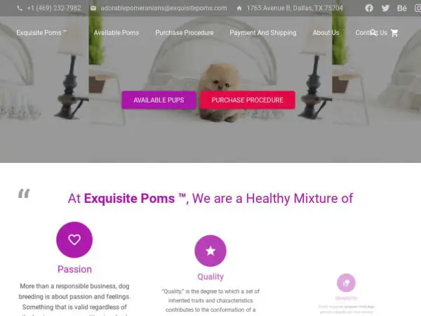 Screenshot of