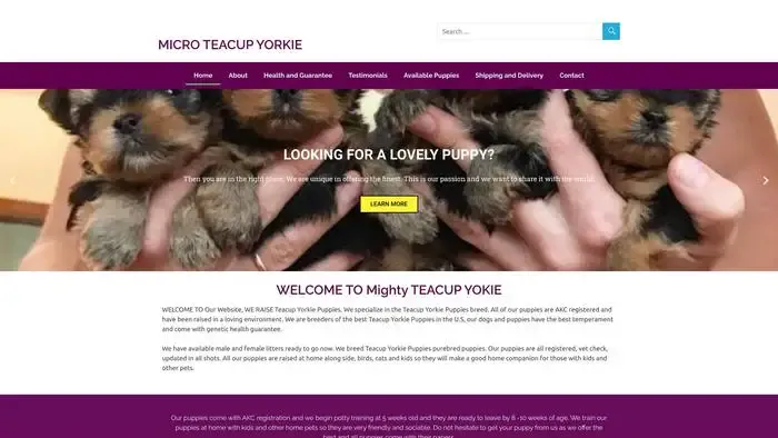 Screenshot of
