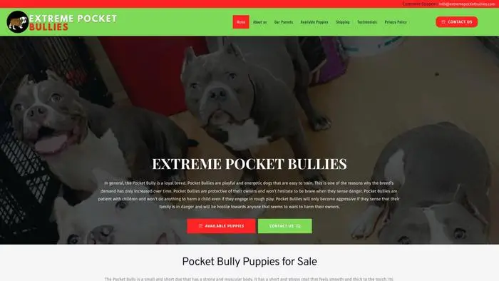 Screenshot of
