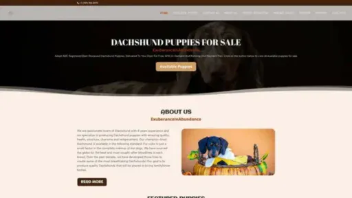 Screenshot of||