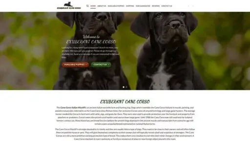 Screenshot of