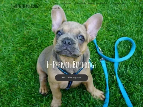 F-frenchbulldogs