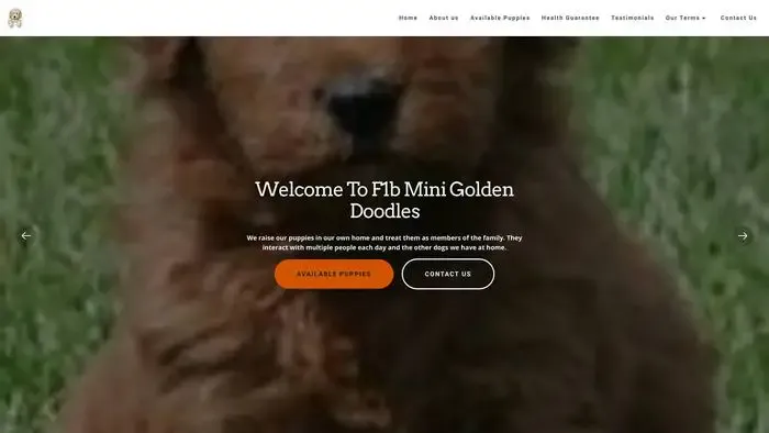 Screenshot of
