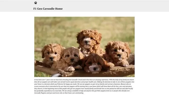 Screenshot of