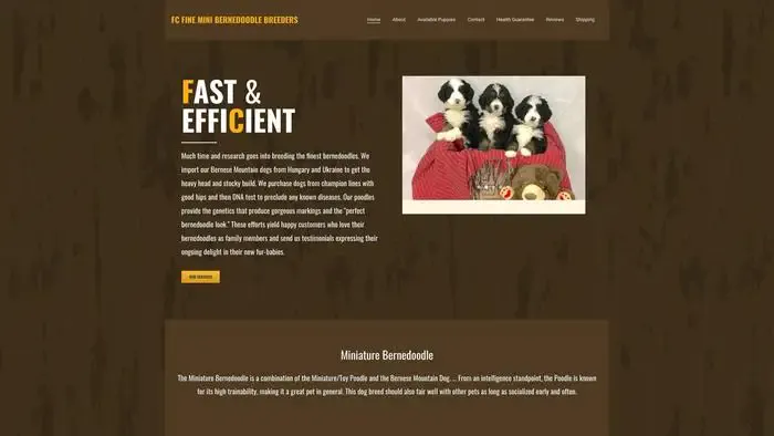 Screenshot of