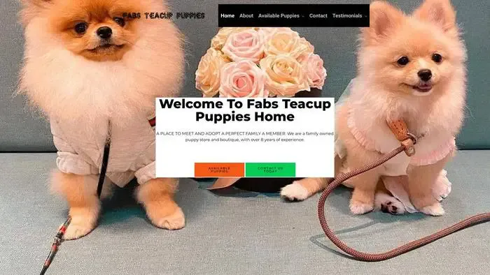 Screenshot of